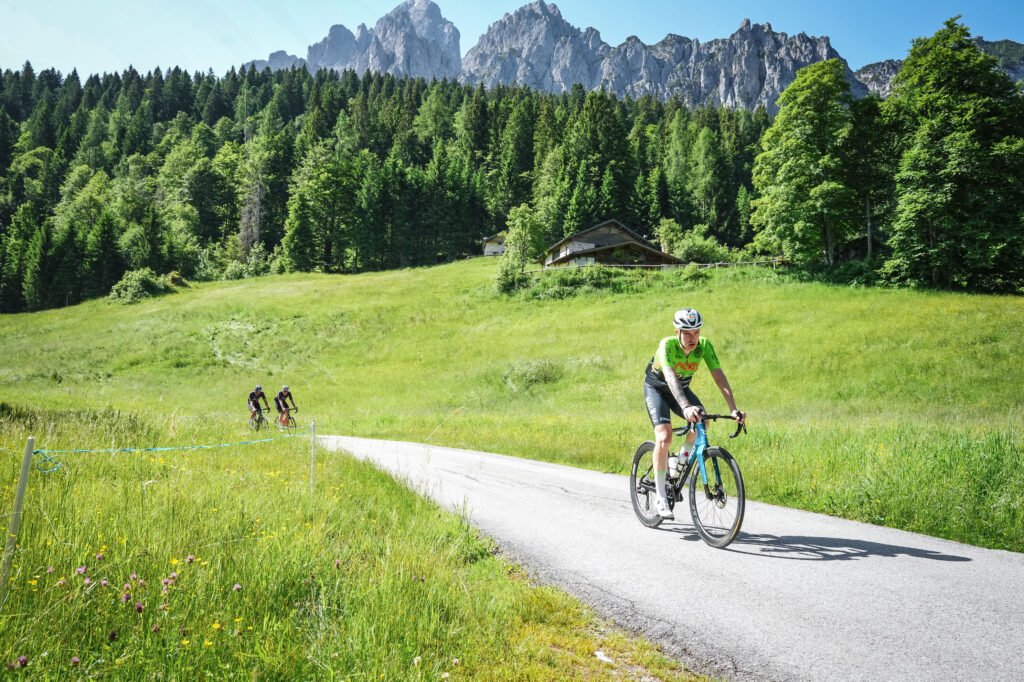 Bici cinese Quick Pro