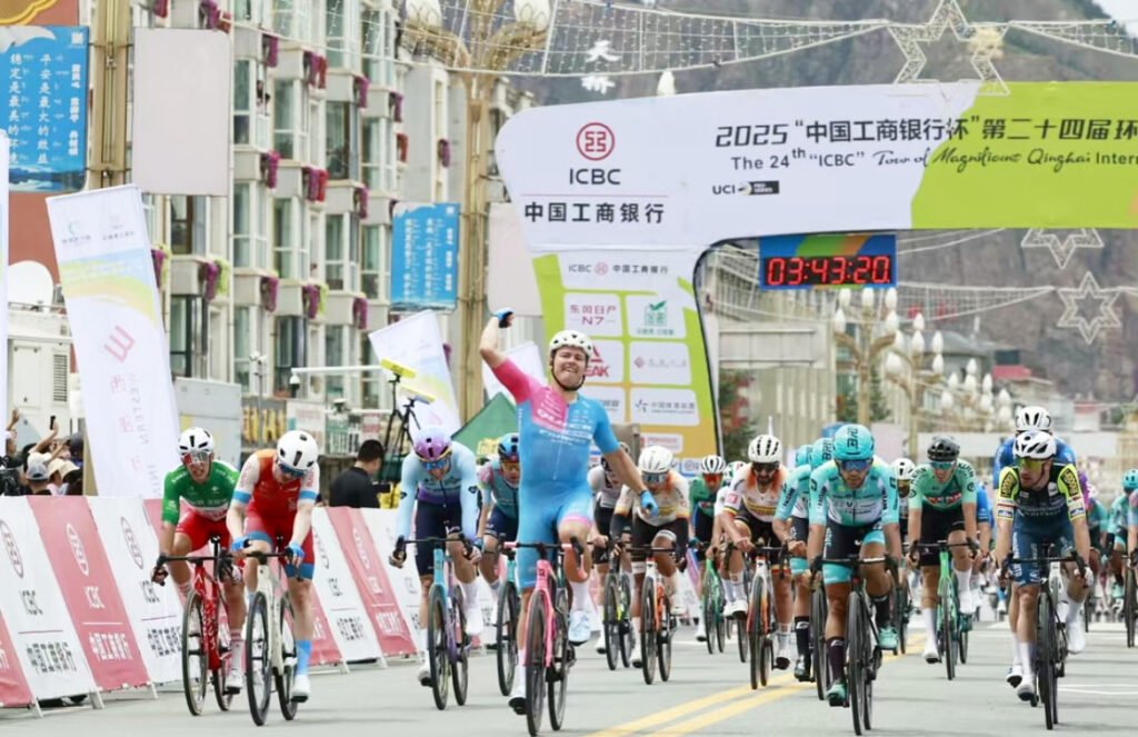 Bici cinese Quick Pro